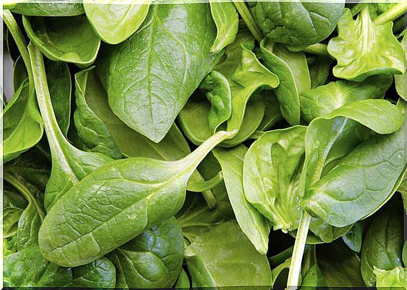 Benefits of spinach