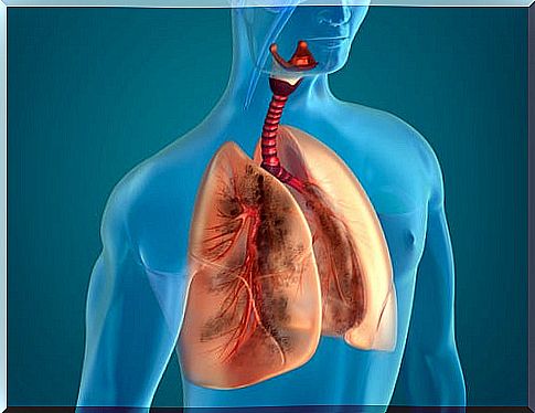 10 natural ingredients that purify a smoker's lungs