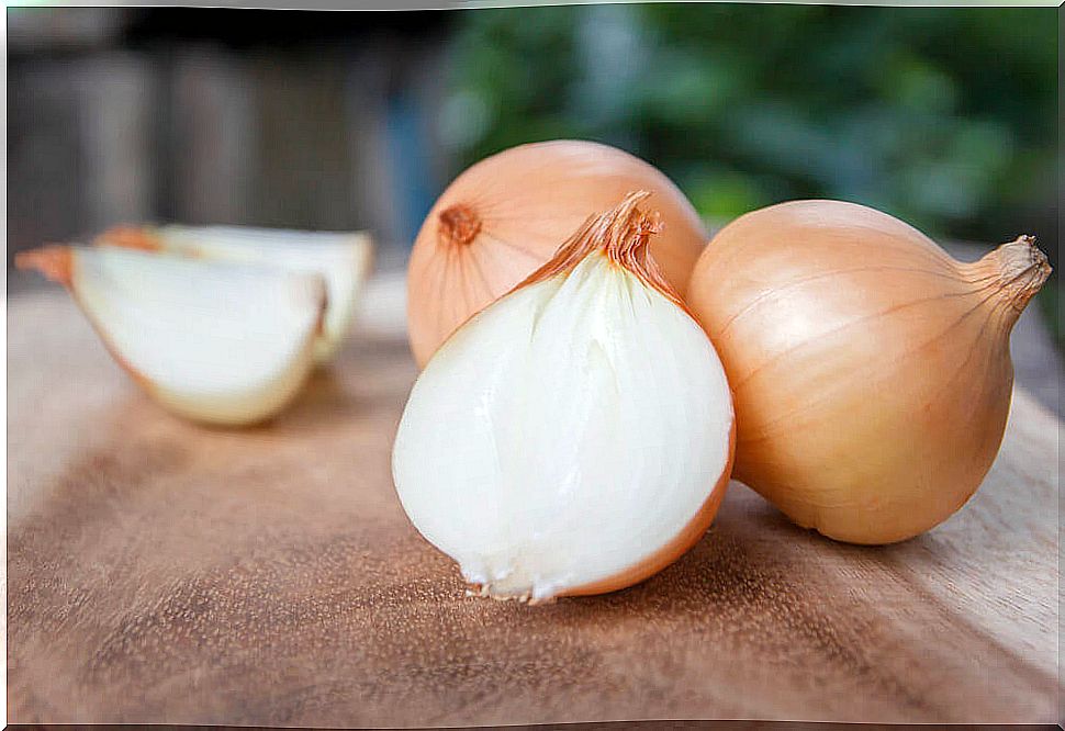 White onions planted in the house.