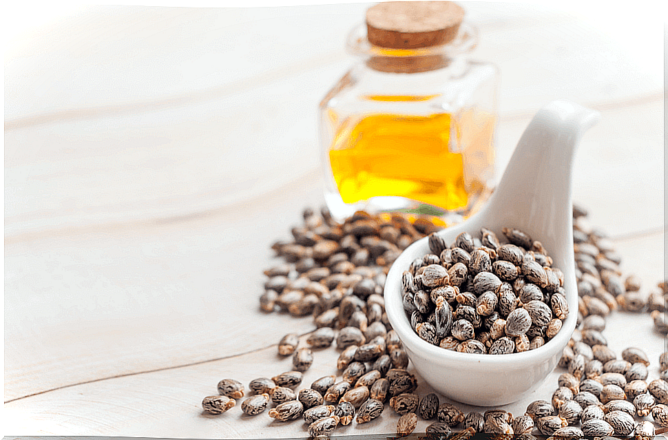 Castor oil and seeds