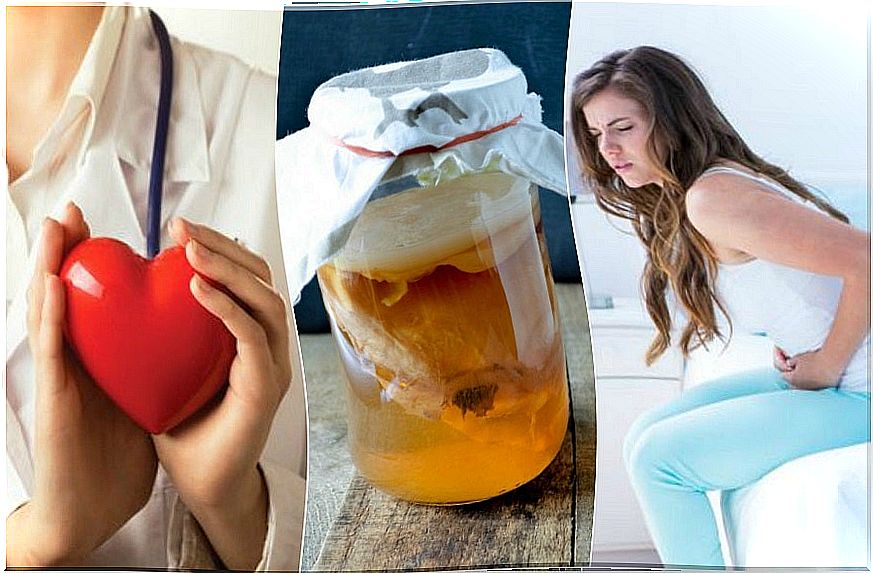 6 healing properties of kombucha tea that you cannot miss