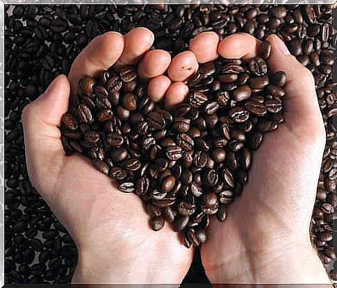 Coffee grounds, a surprising ally against diseases.