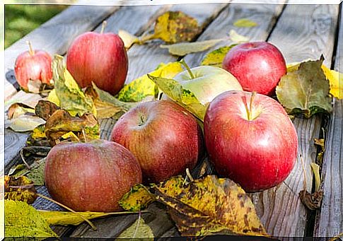 Apples to combat varicose veins