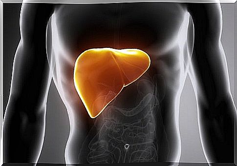 Fatty liver disease: what it is and how it can be treated