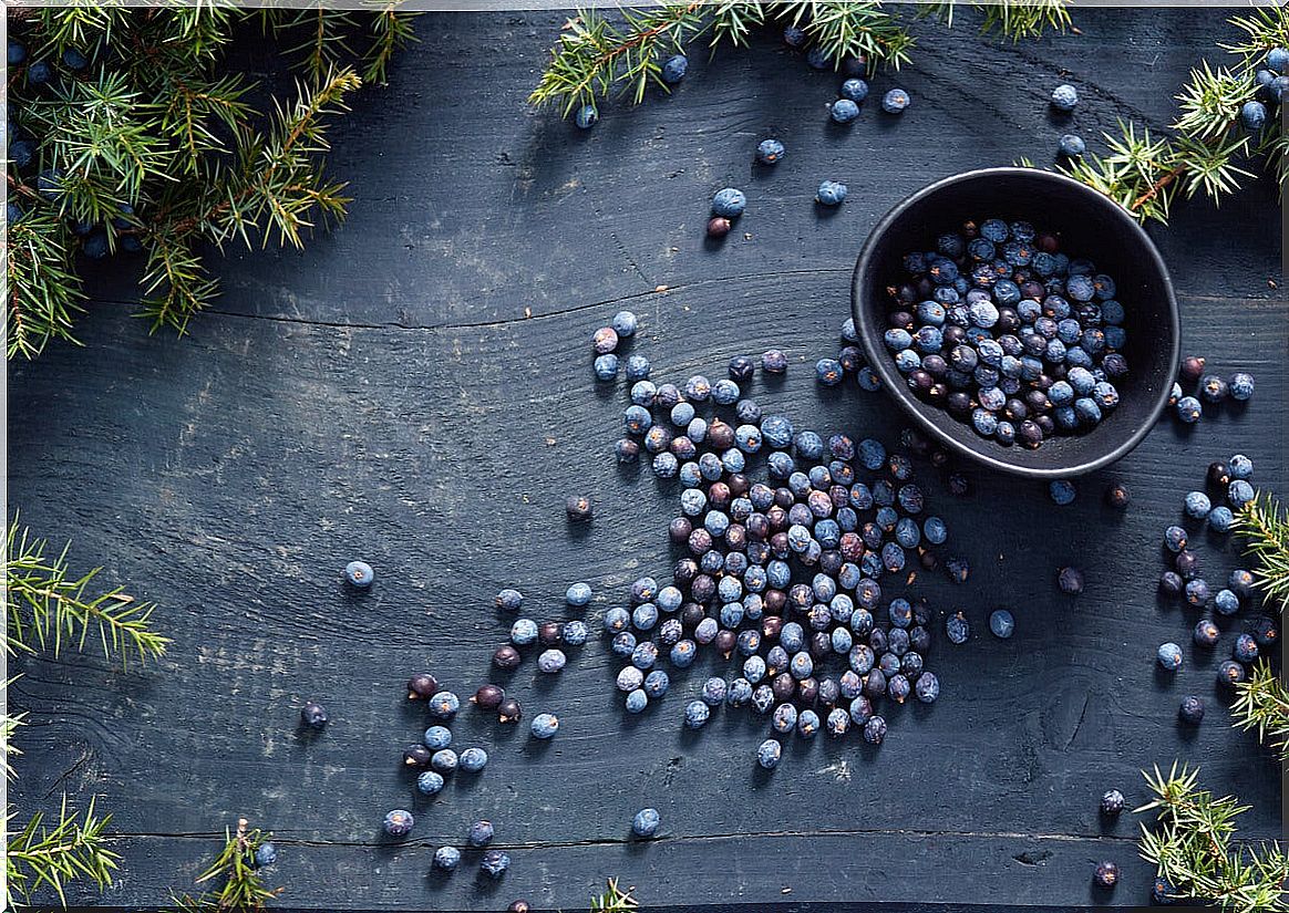 Juniper berries.