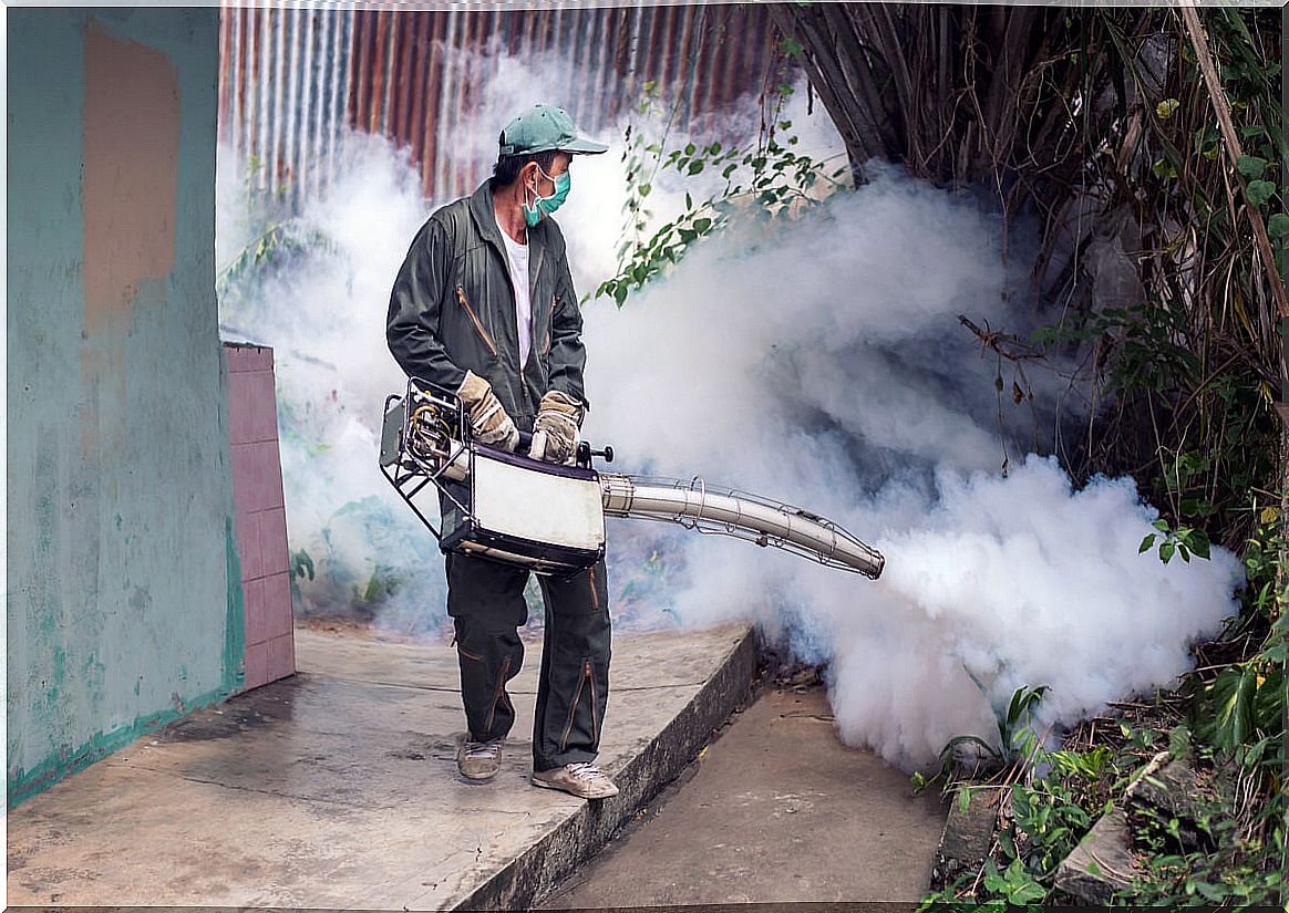 Fumigation in houses.