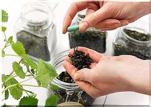 Nettle in jars.