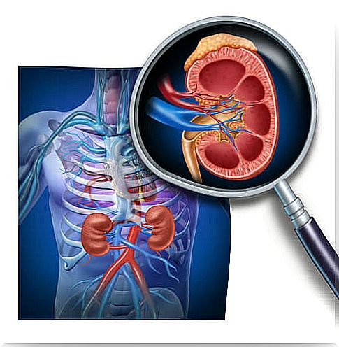 renal disease