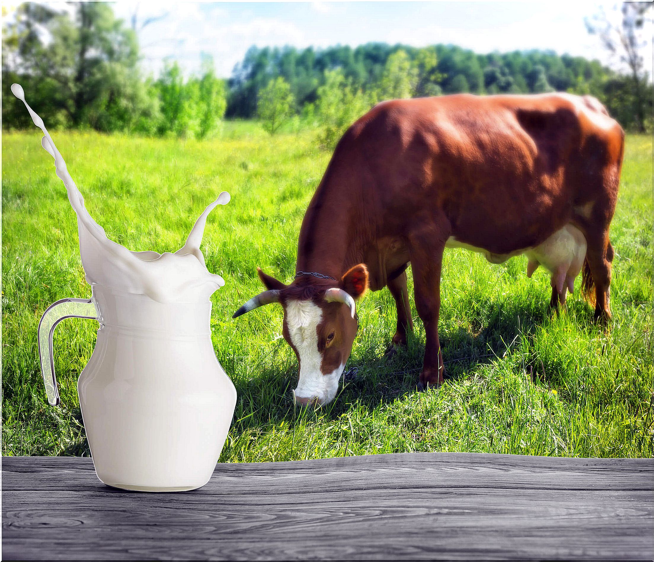 When comparing skim milk versus whole milk, there could be controversy.