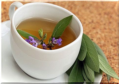 Sage infusion for the throat