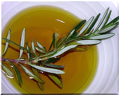 Rosemary.  A natural remedy for long and healthy hair