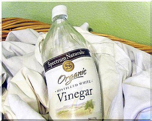 Due to its content of organic acids, white vinegar is one of the best solutions to remove mold stains from clothes.