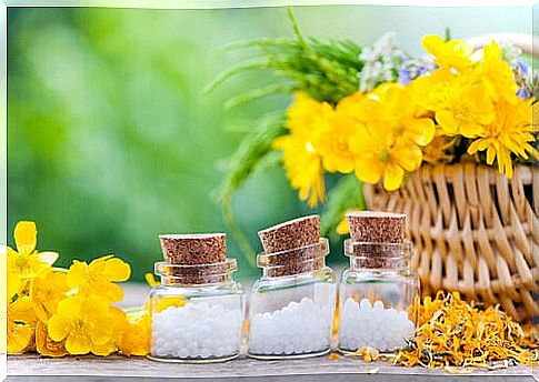 Two essential home remedies: arnica and calendula