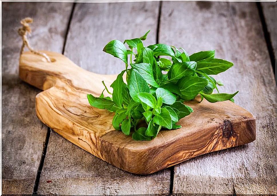 Natural remedies with basil.