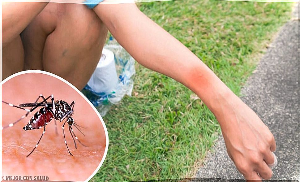 What happens when you scratch a mosquito bite?