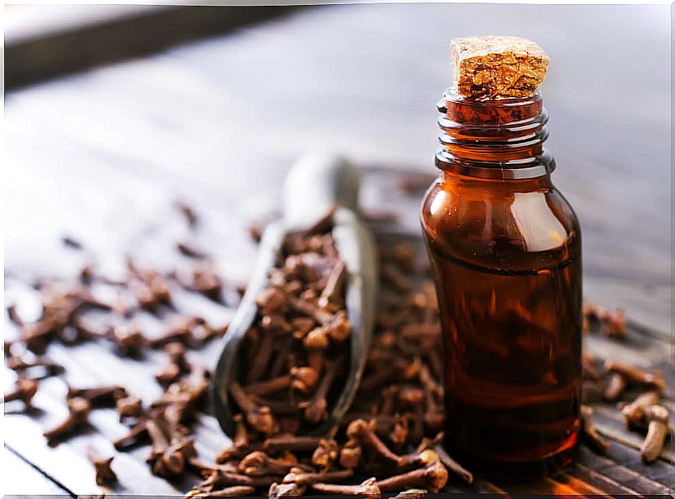 Clove oil